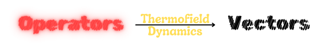 thermo field dynamics